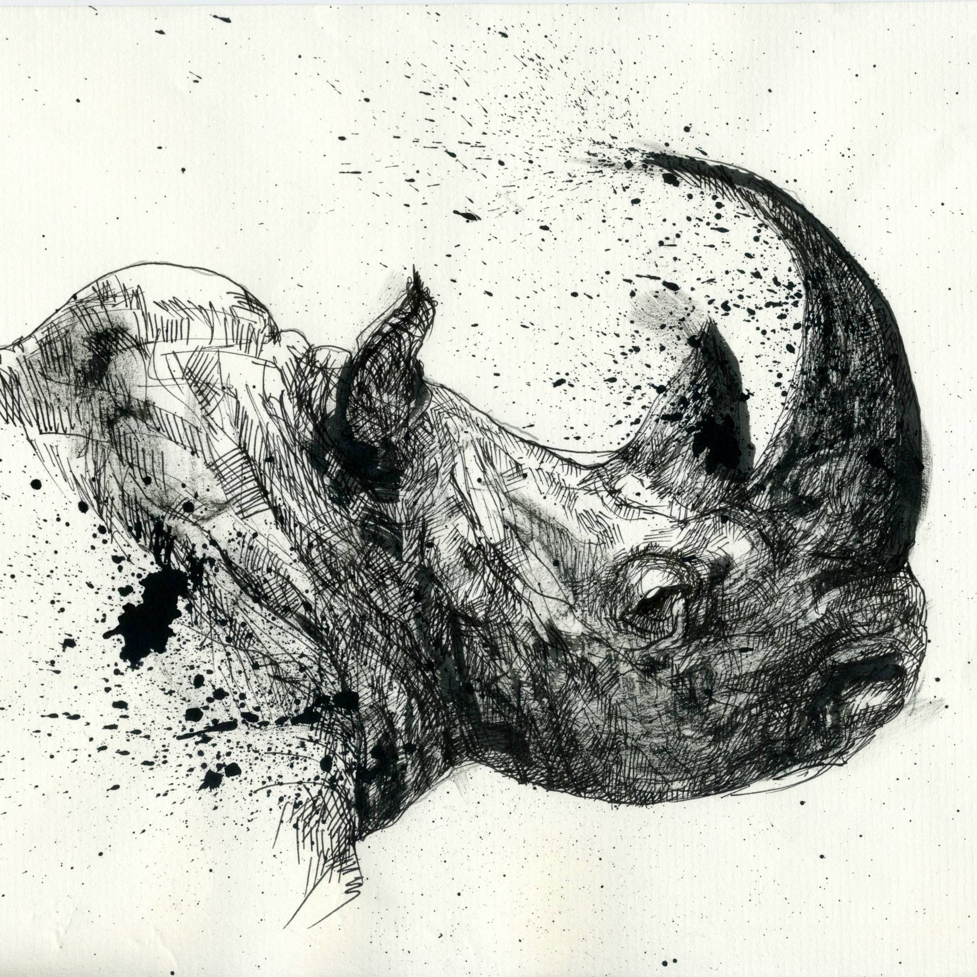Black and white sketch of a rhino.